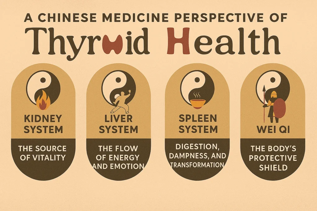 Chinese medicine view of thyroid health