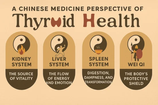 Chinese medicine view of thyroid health