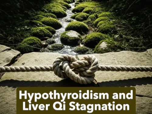 hypothyroidism and liver qi stagnation
