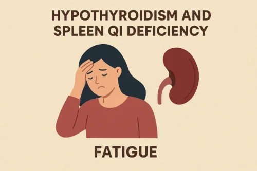 hypothyroidism and spleen qi deficiency