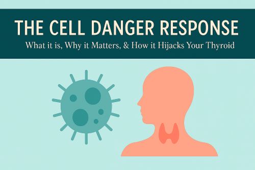 cell danger response hypothyroid